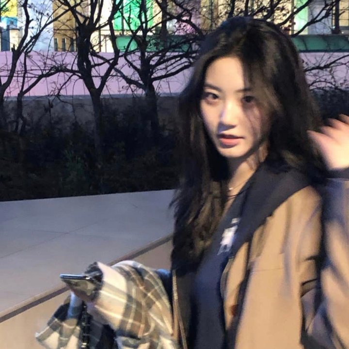 自然先生在线观看封面