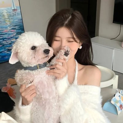 仙宠在线观看封面